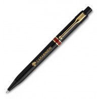 PENNA DELL' ARMA NEW